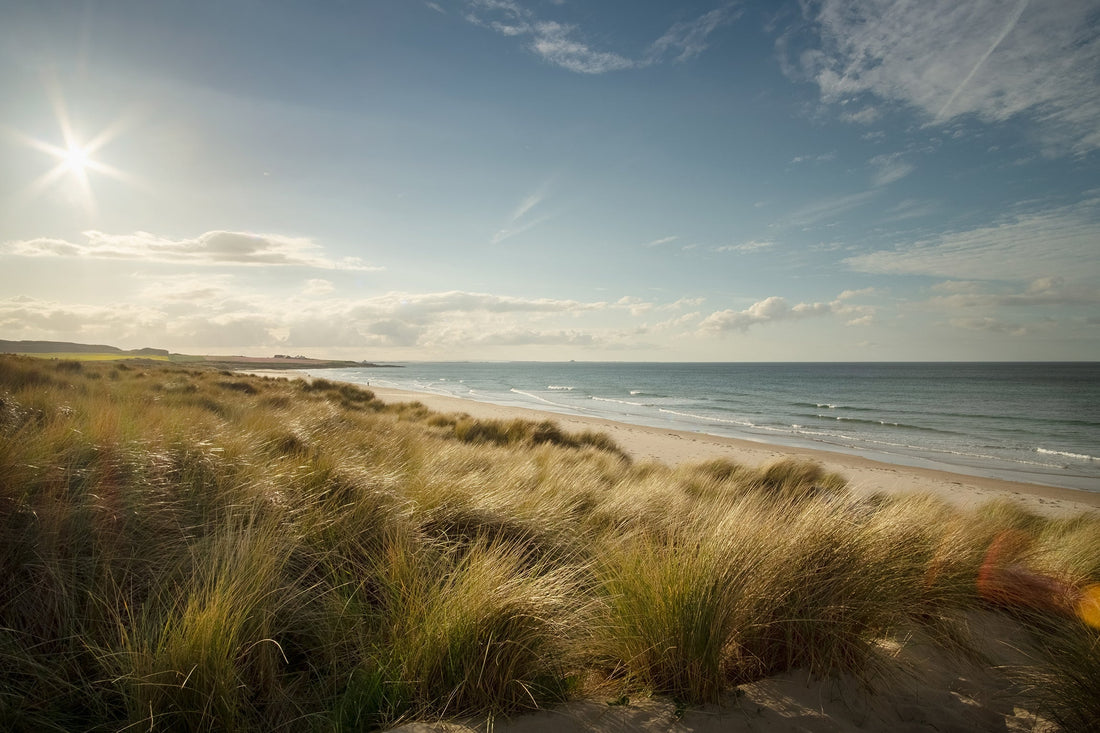 How nature-inspired art can create a calmer home