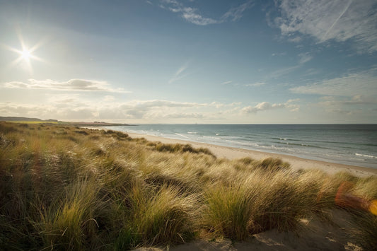 How nature-inspired art can create a calmer home